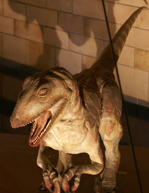 Londyn Natural History Museum